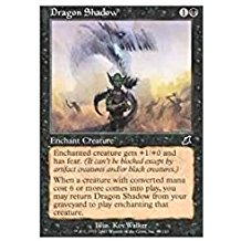 Dragon Shadow